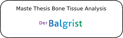 Read more about the article Master Thesis Bone Tissue Analysis