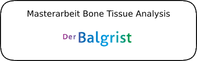 Read more about the article Masterarbeit Bone Tissue Analysis